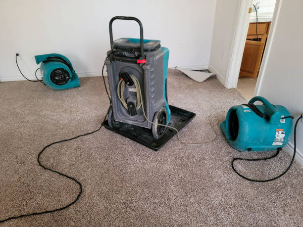 Best Sewage cleanup and water damage restoration  in St Paul, VA