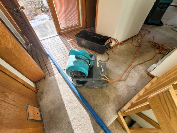 Best Mold removal after water damage  in St Paul, VA