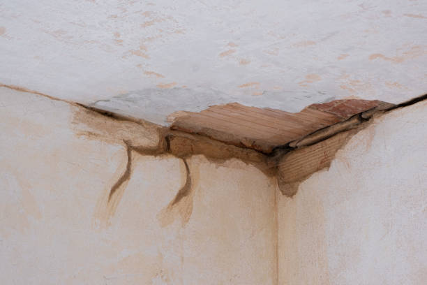 Best Flood restoration services  in St Paul, VA