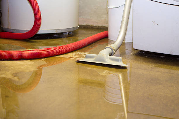 Local water damage restoration in VA