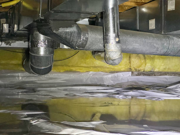 Best Water damage restoration near me  in St Paul, VA