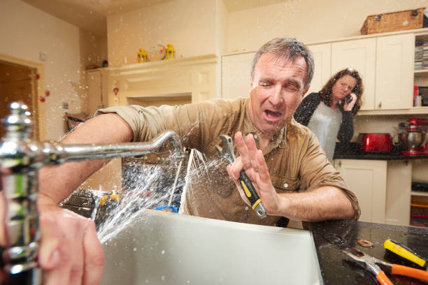 Best Flood damage cleanup  in St Paul, VA